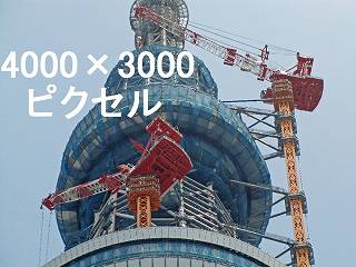 230