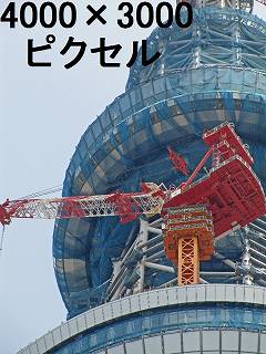 232