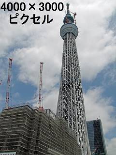 236