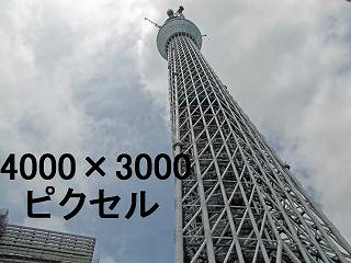 239