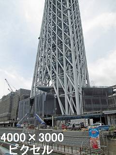251