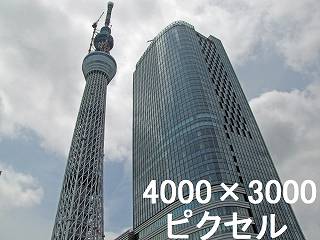 252