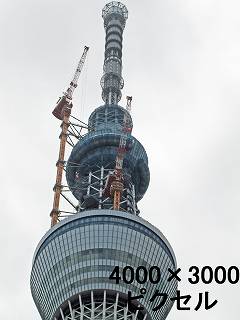 254