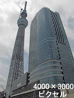 259