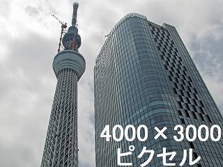 260