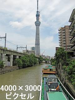 263