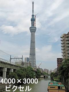 264