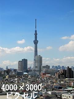 275