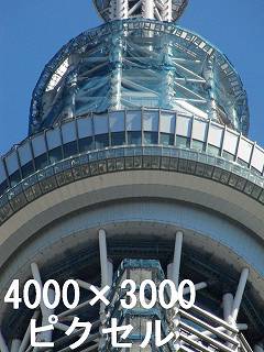 290