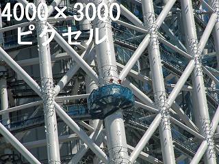 295