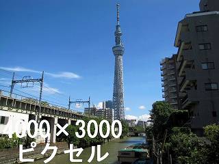 299