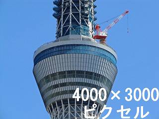 303