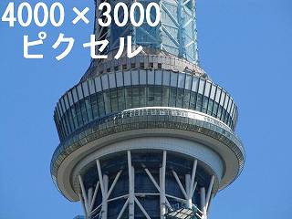 304