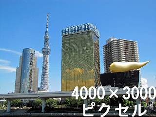 320