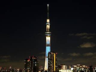56