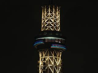 113