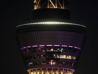 131
