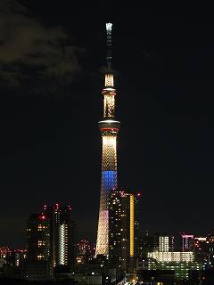 46
