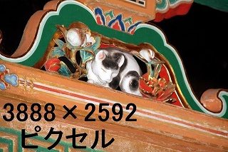 28