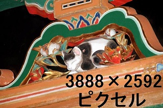 29