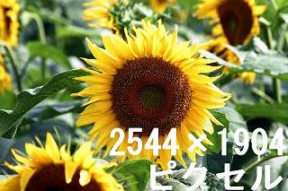57