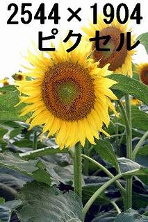 65