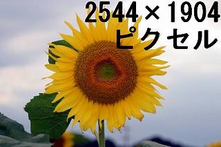 66