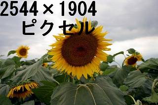 67
