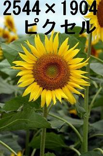 72