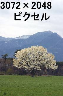 51