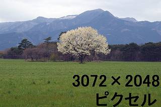 52