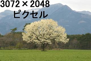 54