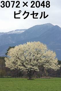 57