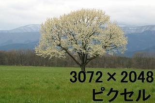 64