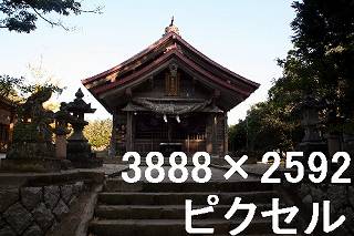 25