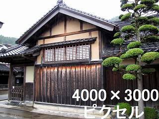 40
