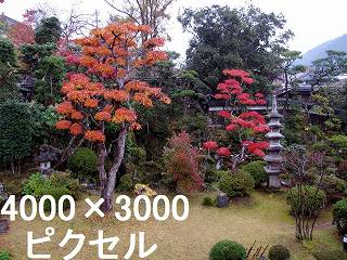 100