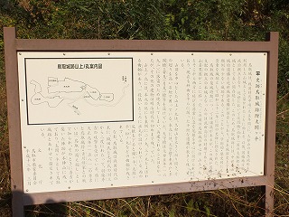 163