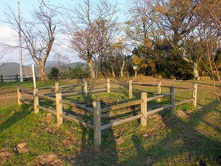 201