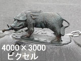 50