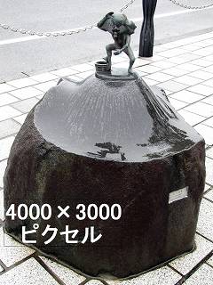 66