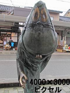 146