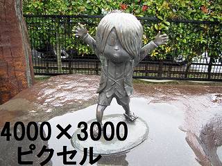 204