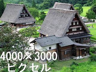 40