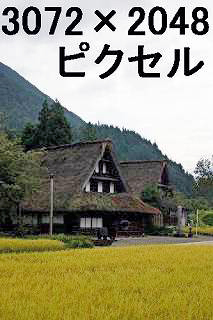 54