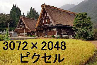 73
