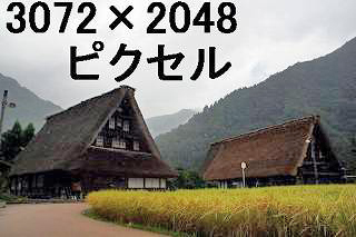 74