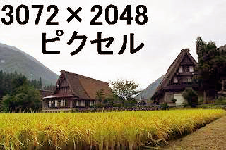 77