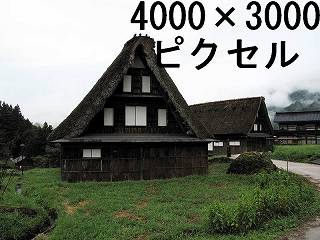 55