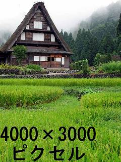 60